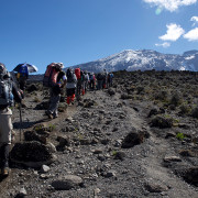 Kili-Machame-7