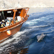 North-Star-Musandam-6