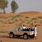 Vintage-Land-Rover-Fleet-(15)