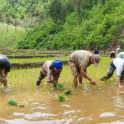 Thailand-51